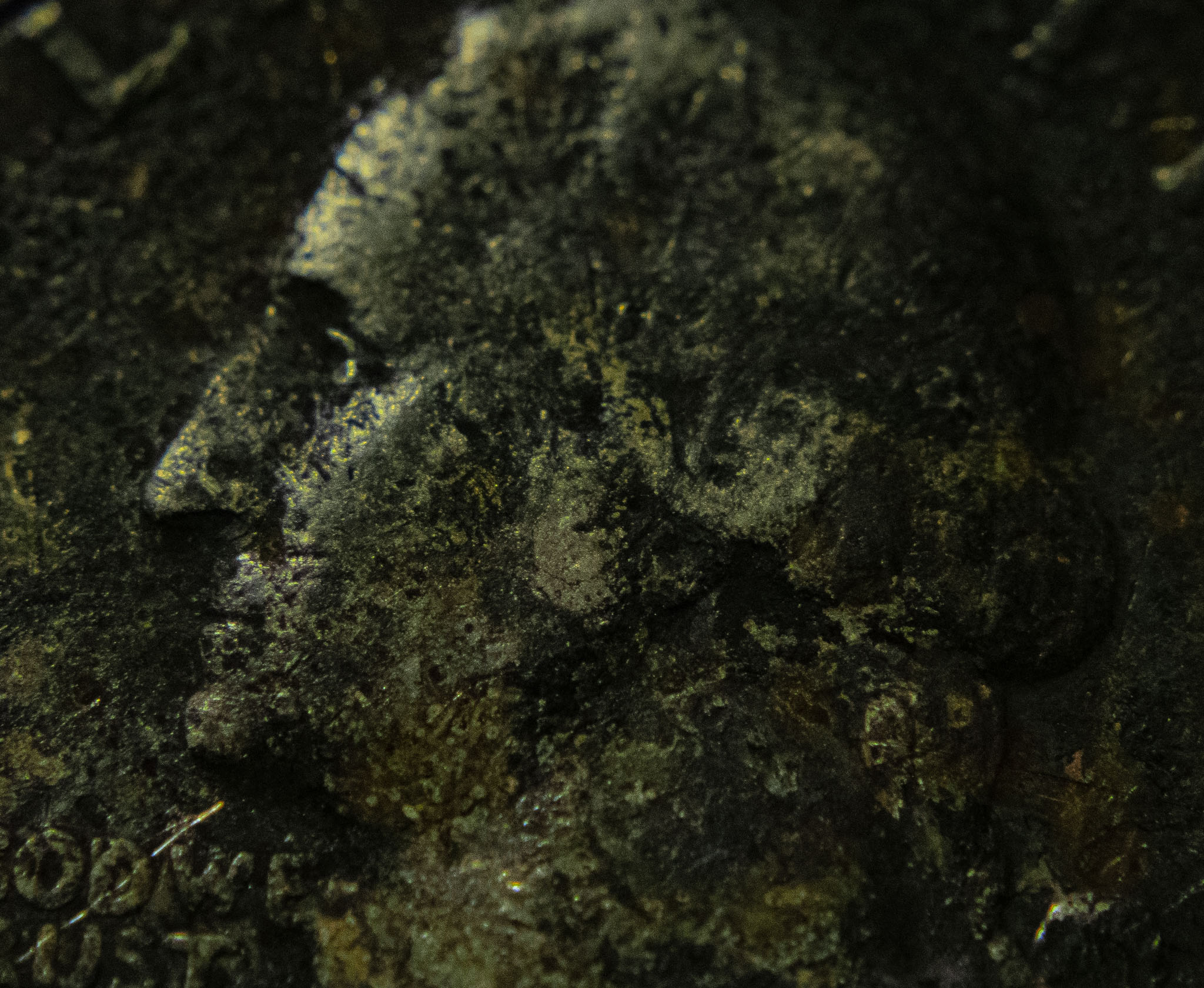closeup of George Washington on old, weathered quarter
