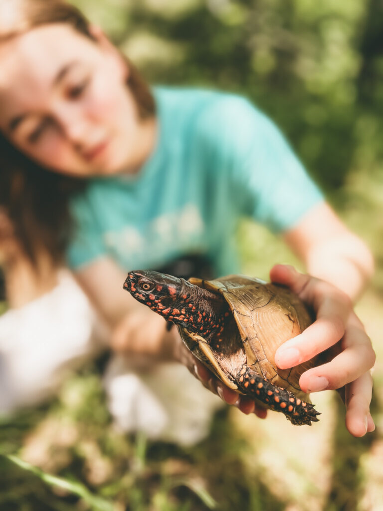 girl holding box turtle