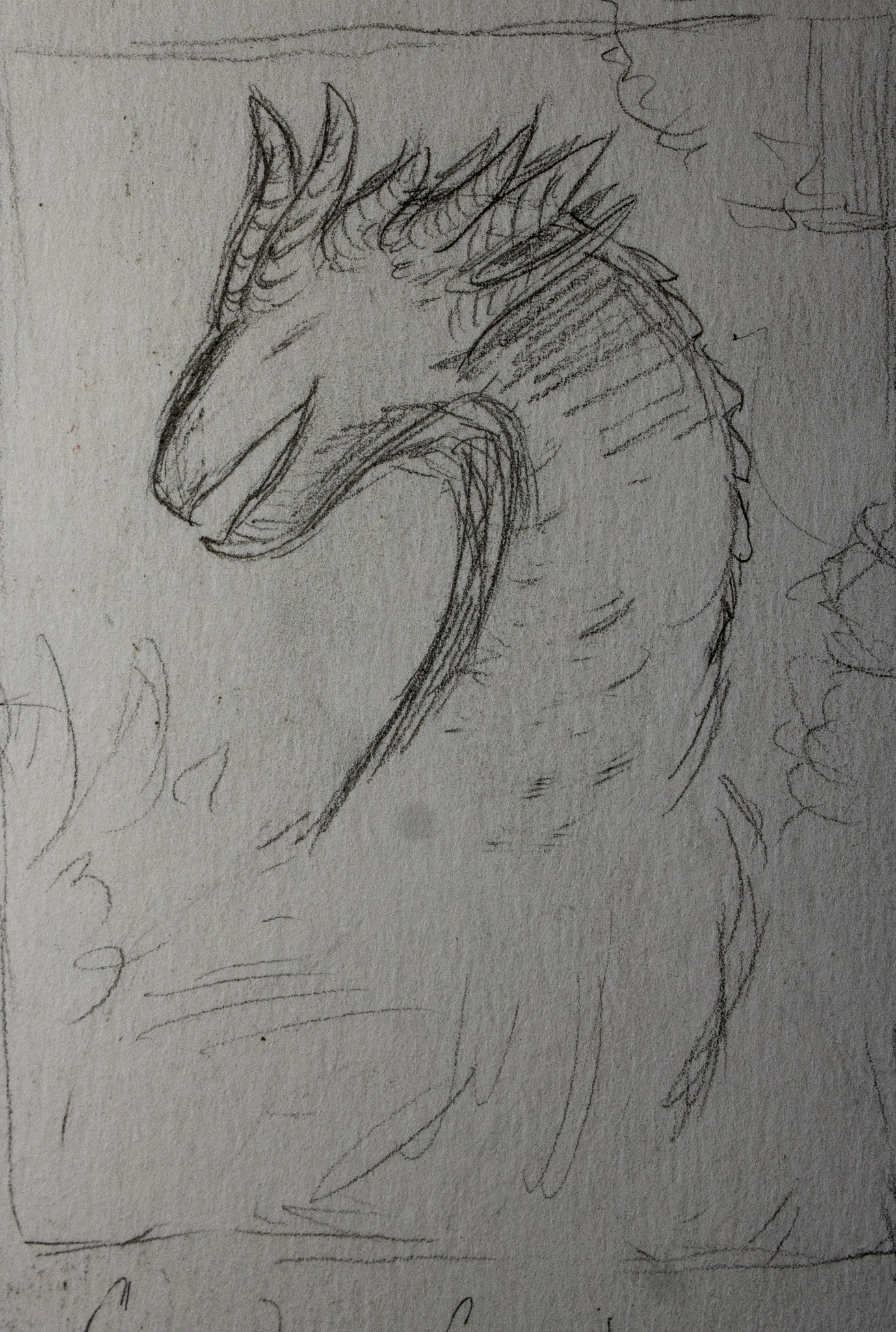 How to Create Creatures for Your Fantasy Worlds